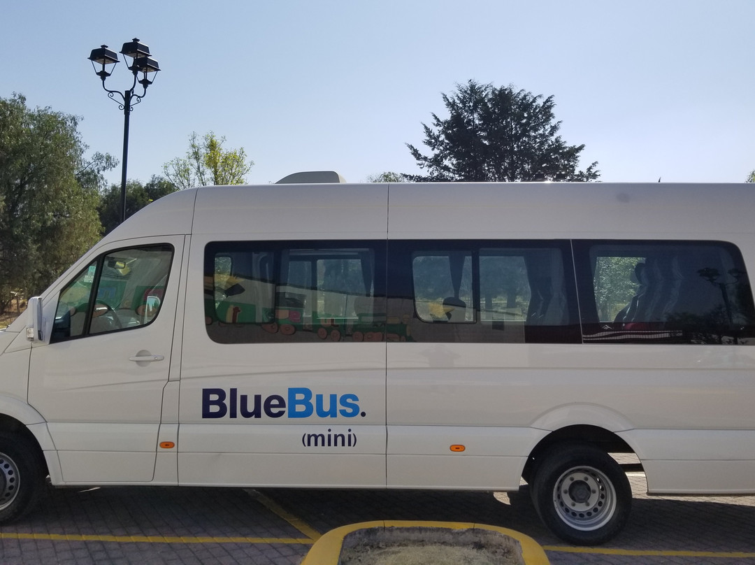 BlueBus.-墨西哥城必去景点