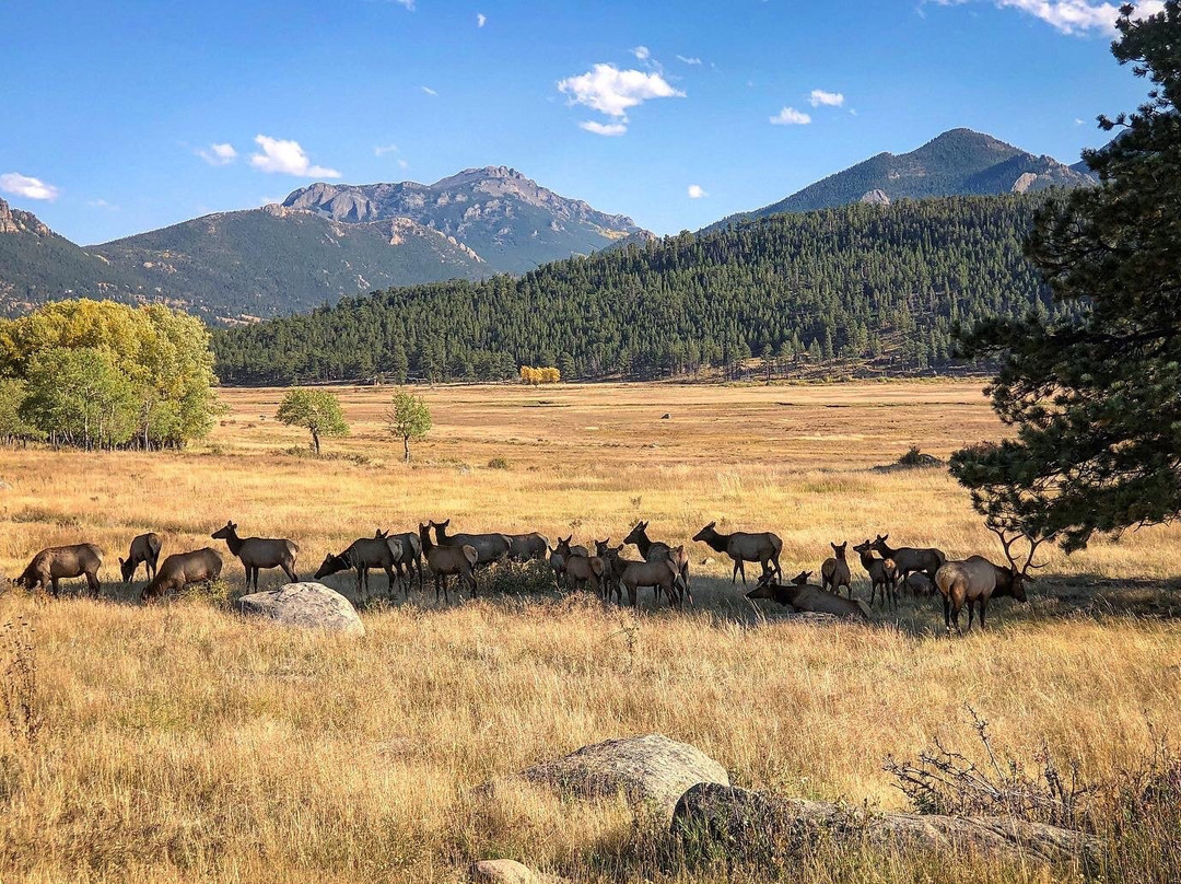 Moraine Park Museum-落基山国家公园必去景点