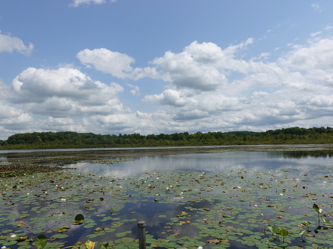 Burton Wetlands Nature Preserve景点图片