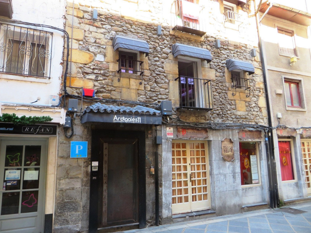 Pension Ardigales 11主图