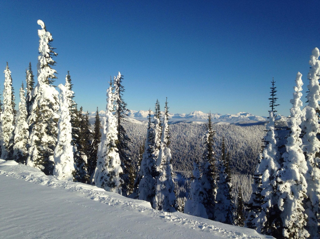 Swan Mountain Snowmobiling-Columbia Falls必去景点