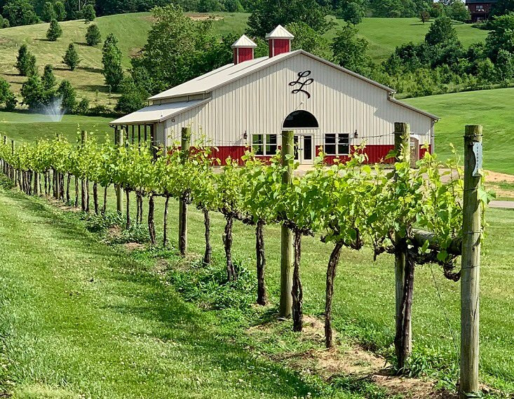 Lovers Leap Vineyards and Winery景点图片