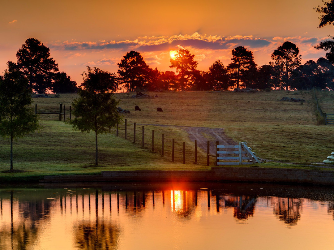 Thomaston旅游景点-The Rock Ranch