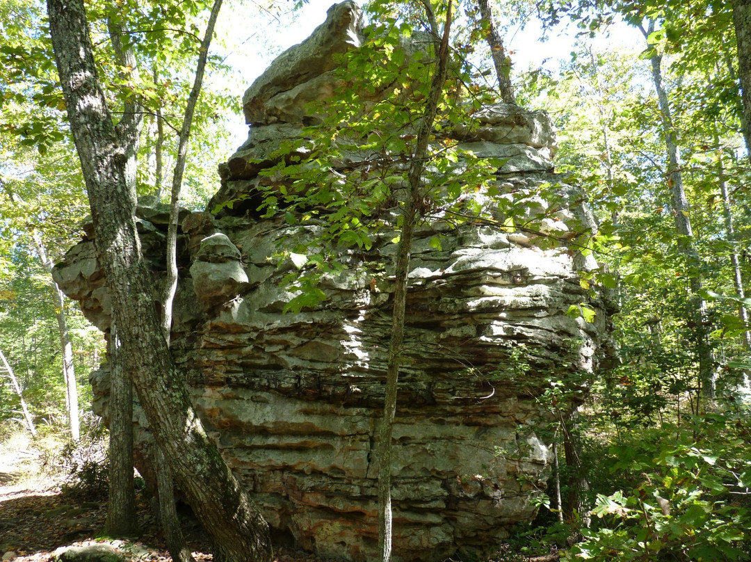 Rocktown Trail景点图片