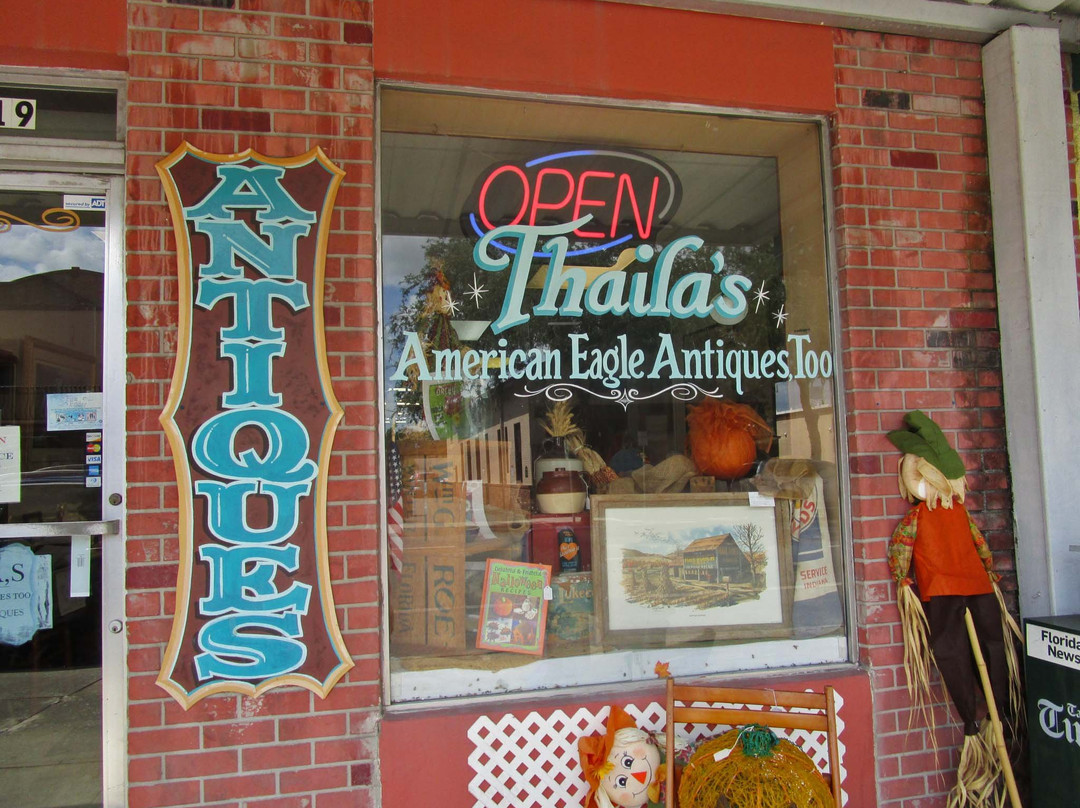 Thaila's American Eagle Antiques Too景点图片