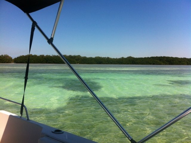 Mermaid Therapy Charters-Stock Island必去景点