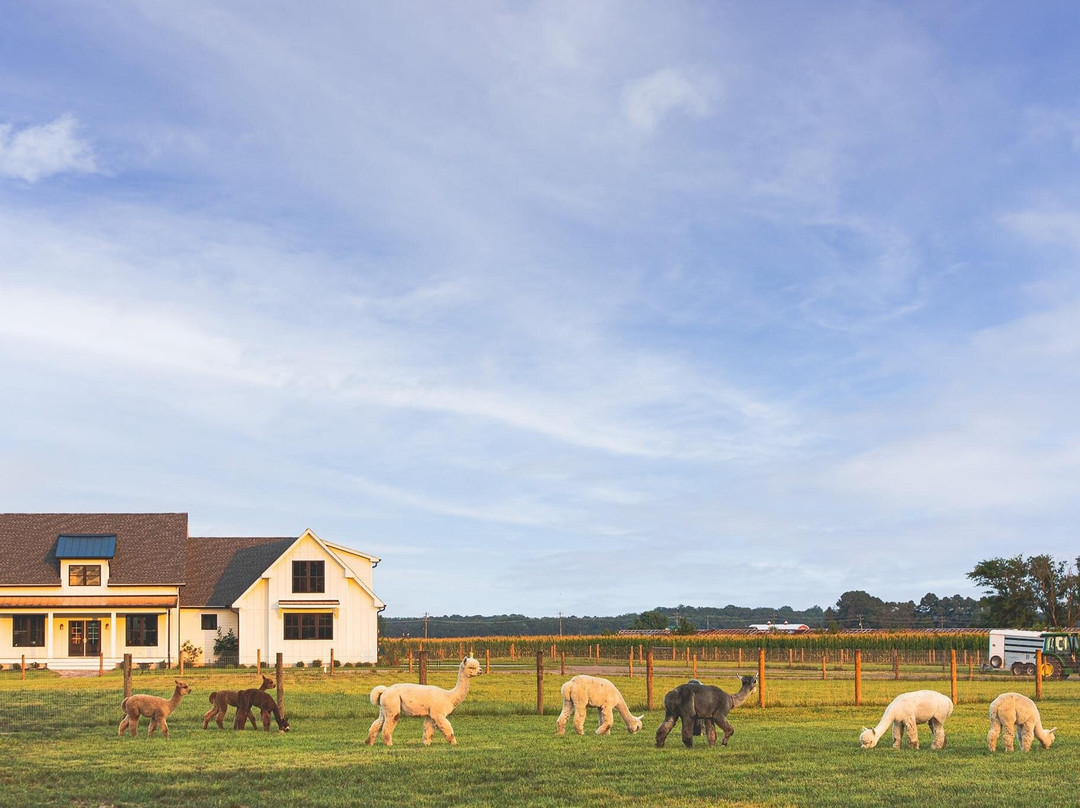 Four Acres Living Alpaca Farm