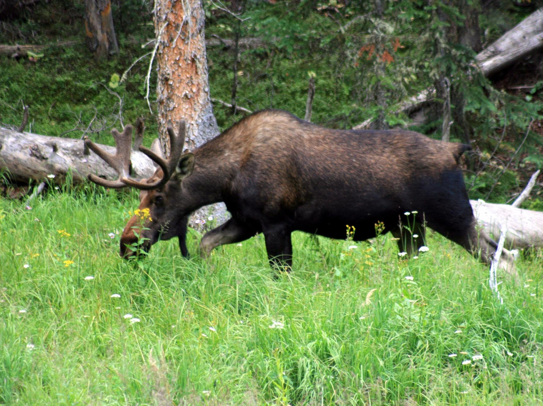 Green Mountain Loop-落基山国家公园必去景点
