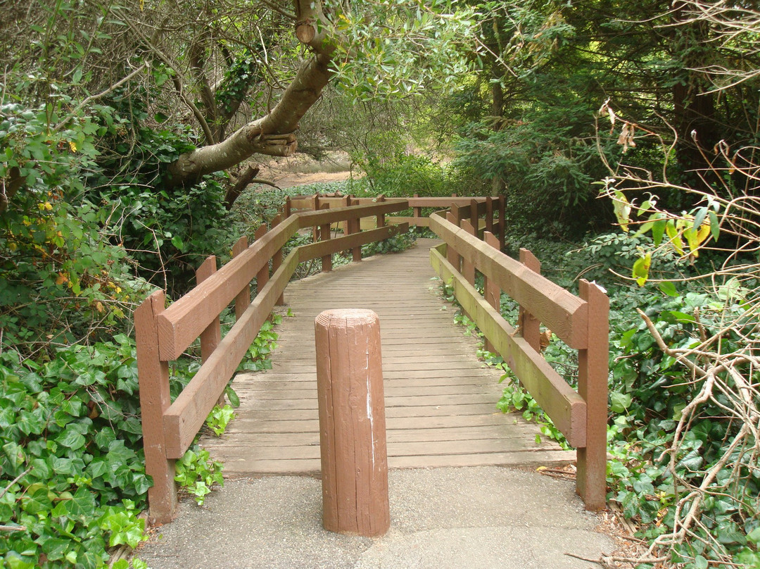 布里斯班旅游景点-麦莱恩公园