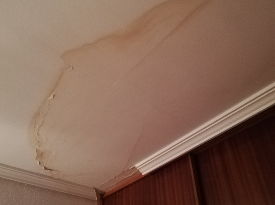 Hotel Turismo Miranda主图