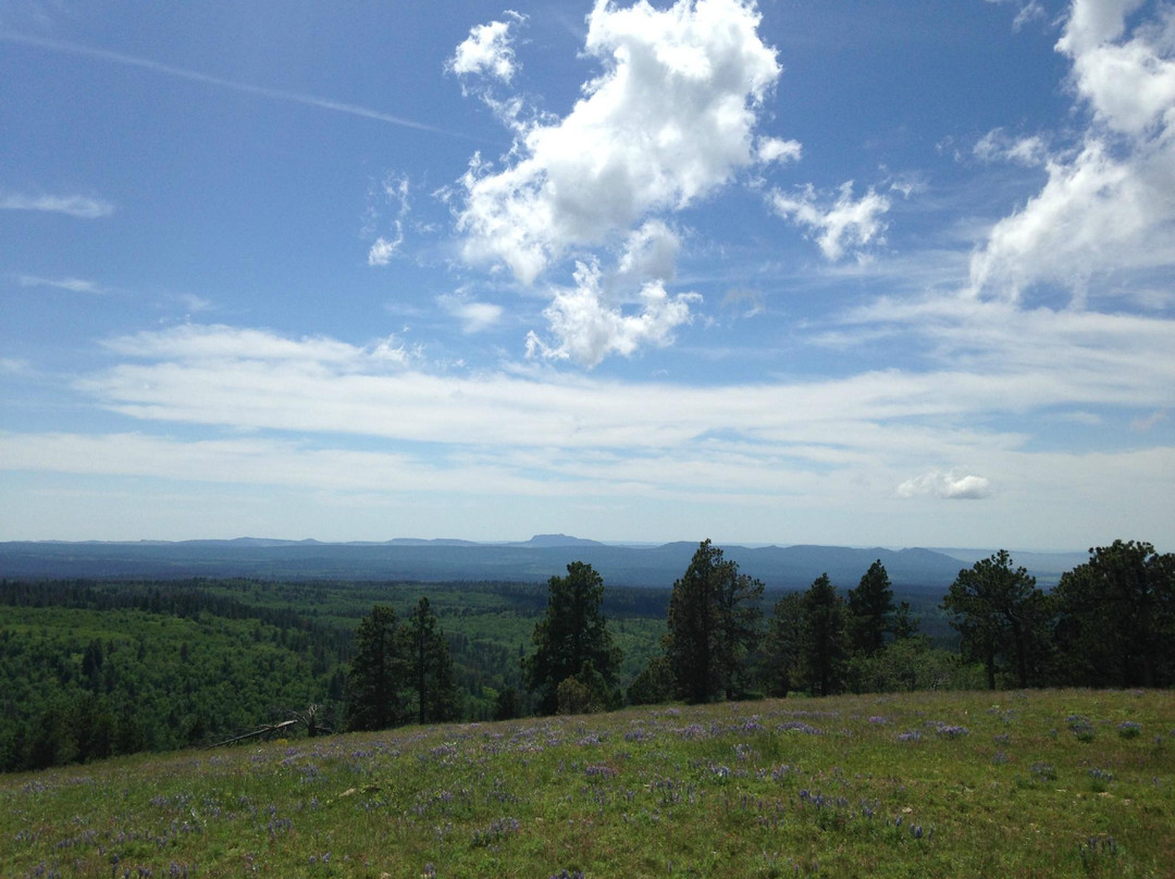 Cement Ridge Lookout-Sundance必去景点
