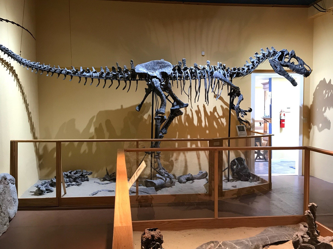 Paleon Museum in Glenrock景点图片