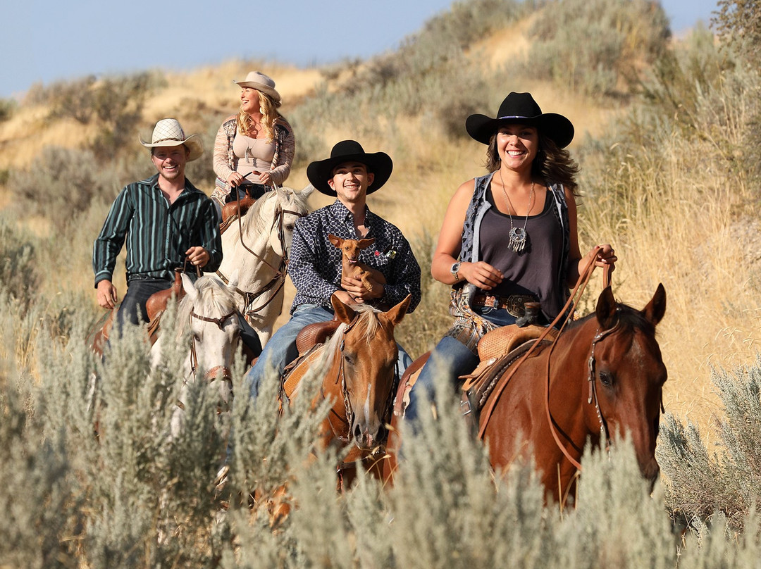 Kinship Trail Rides-埃伦斯堡必去景点