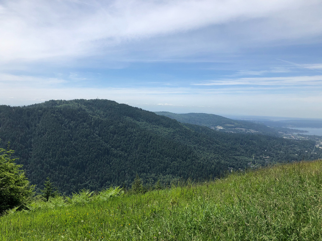 Poo Poo Point - Chirico Trail景点图片