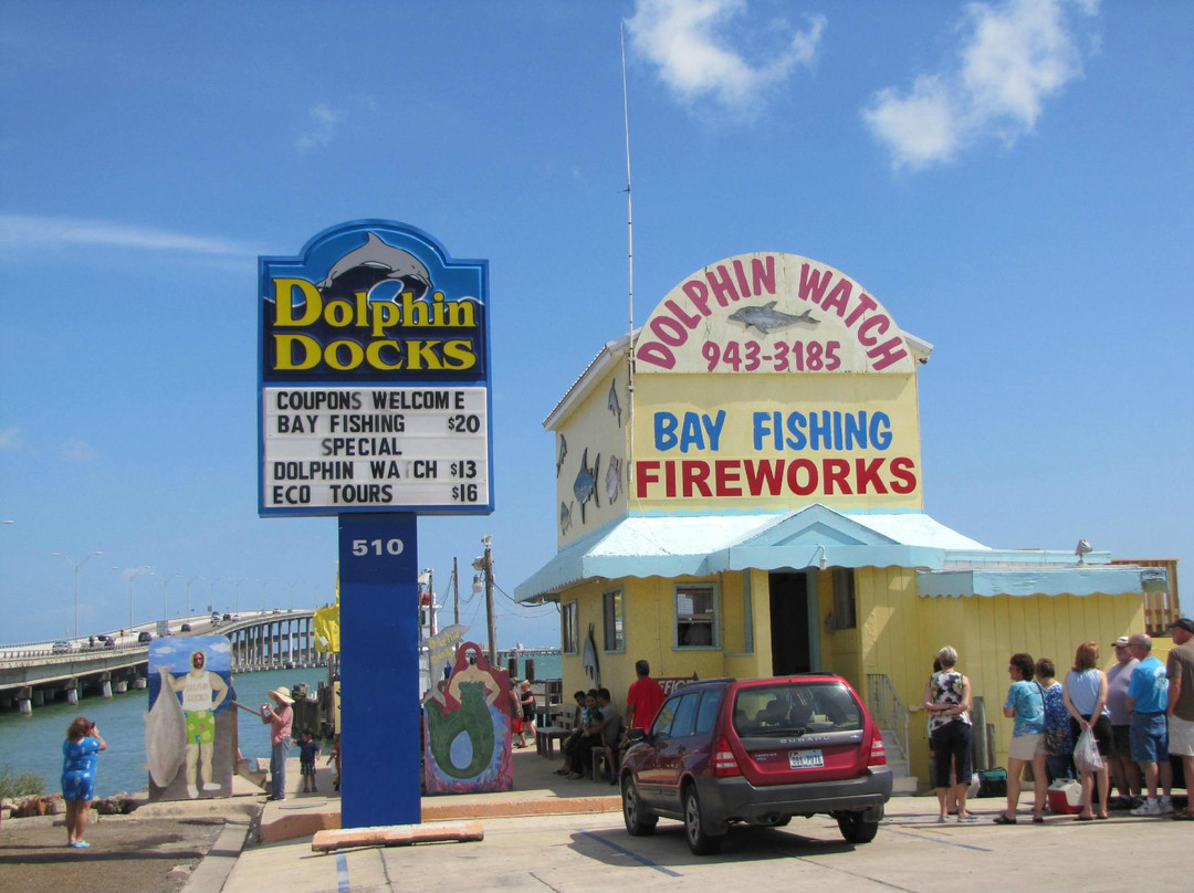 Dolphin Docks-Port Isabel必去景点