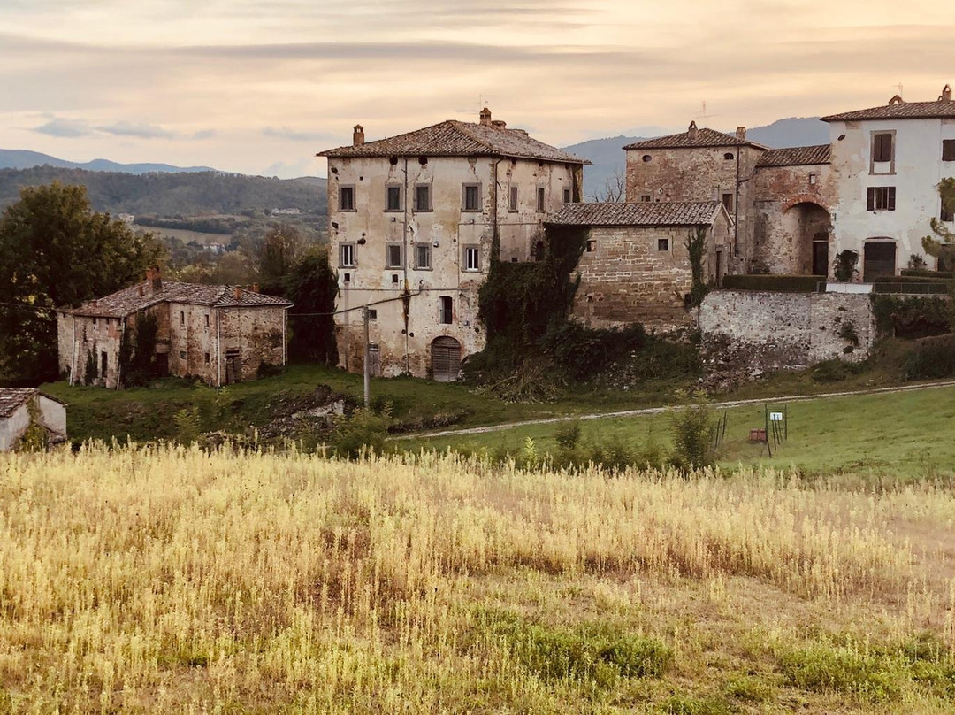 Castello Di Sorci景点图片