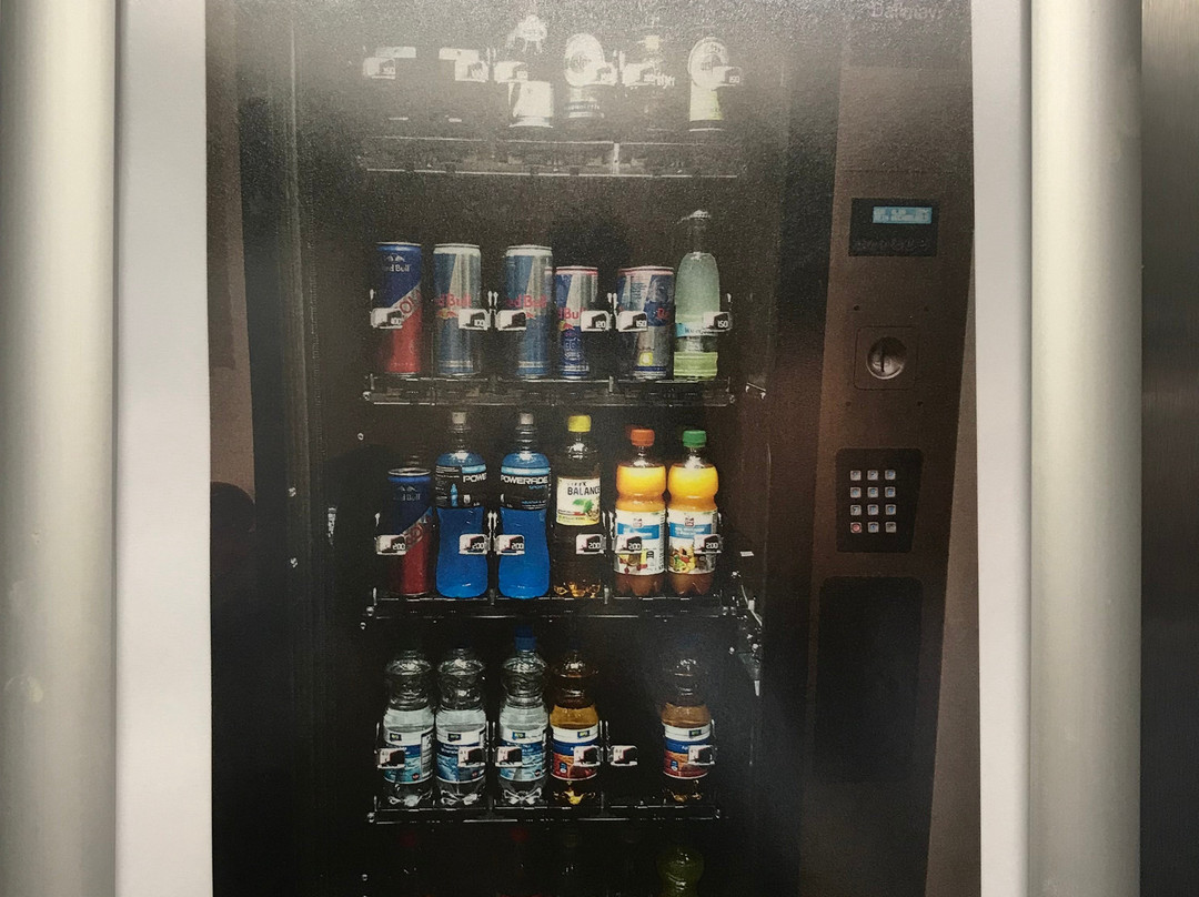 赫尔曼·冯·萨尔则阿尔法酒店主图