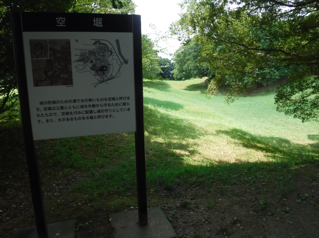 Kurashino Botanical Garden-佐仓市必去景点