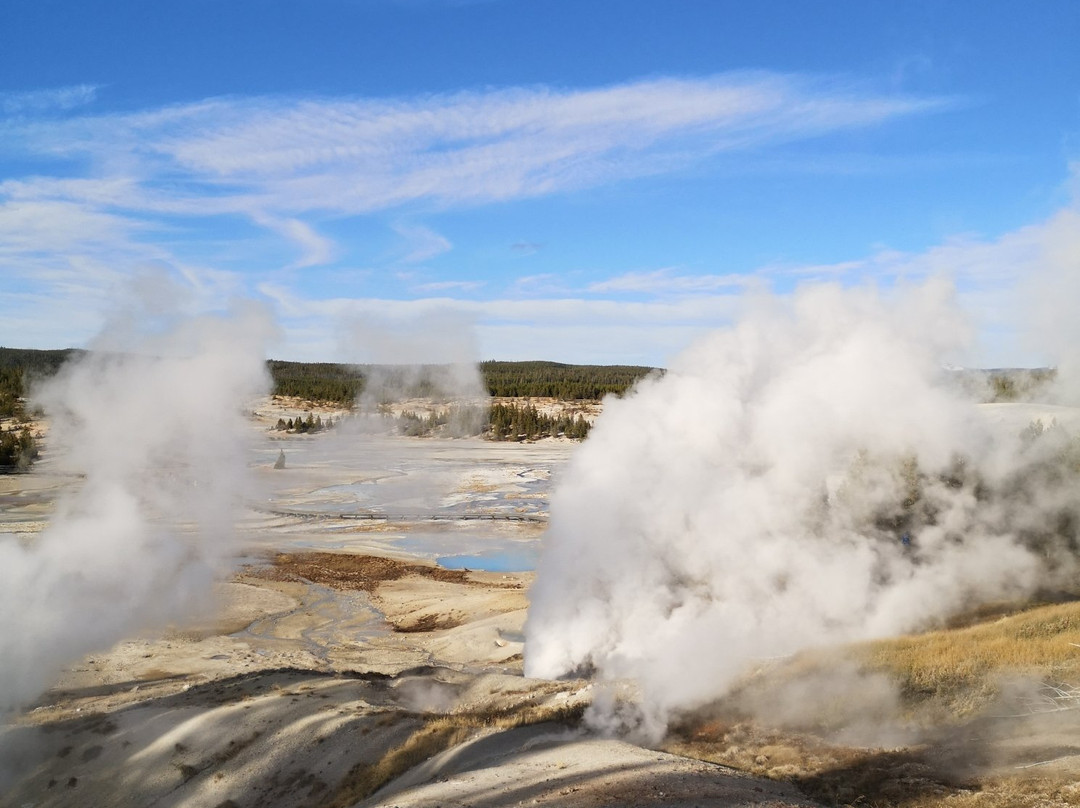Yellowstone National Park景点图片