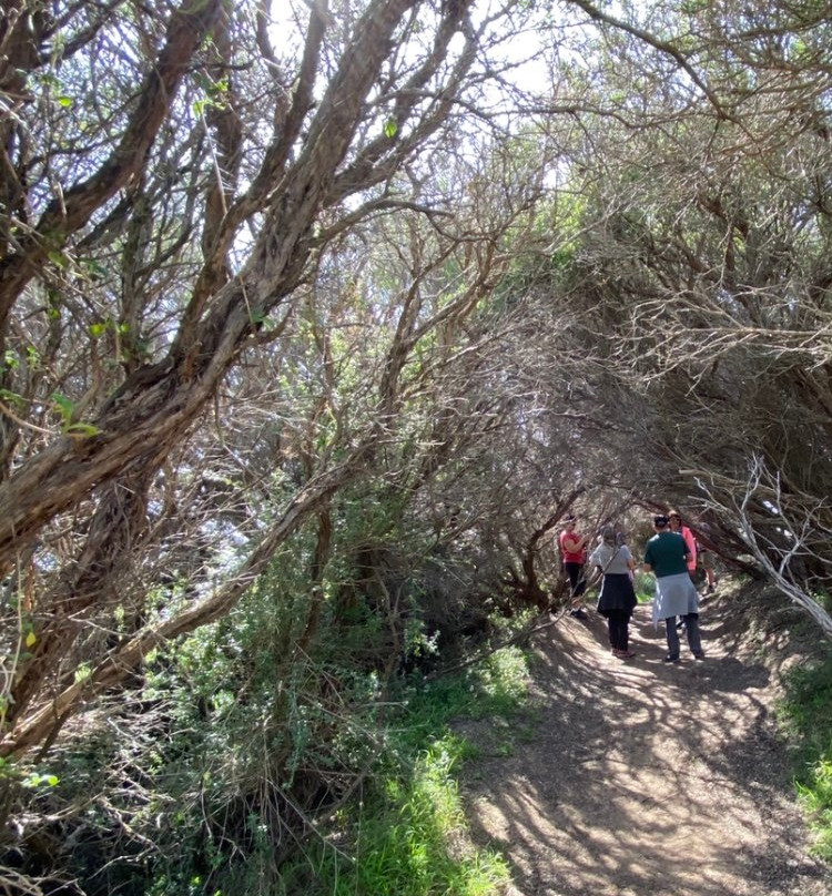 The Two Bays Walking Track景点图片