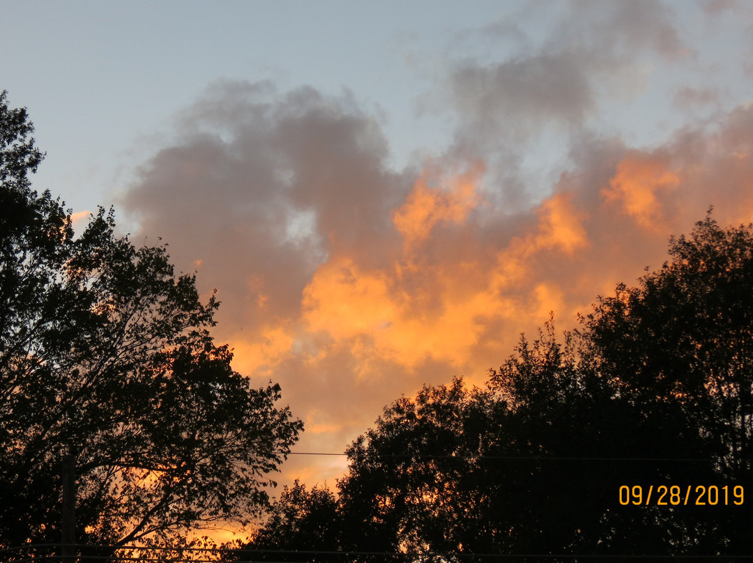 Best Western Delhi Inn主图