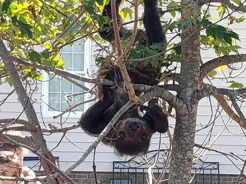 It's a Zoo Life-Macclesfield必去景点