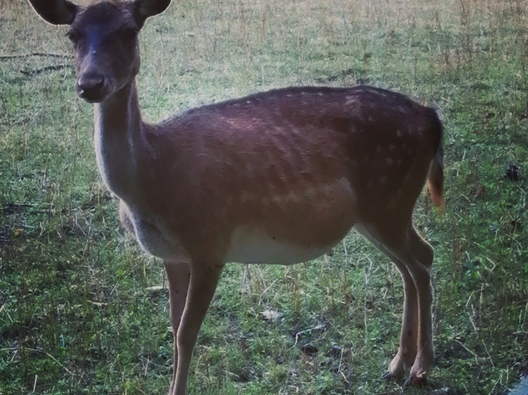 Albergo Del Sole主图