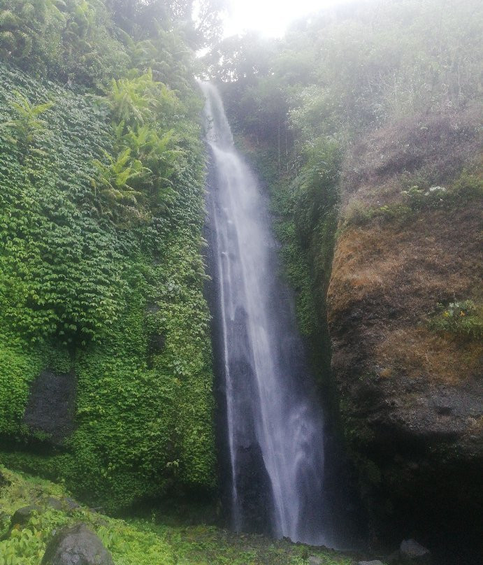 Fili Waterfall景点图片