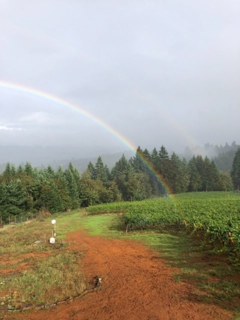 Lange Estate Winery & Vineyards-Dundee必去景点