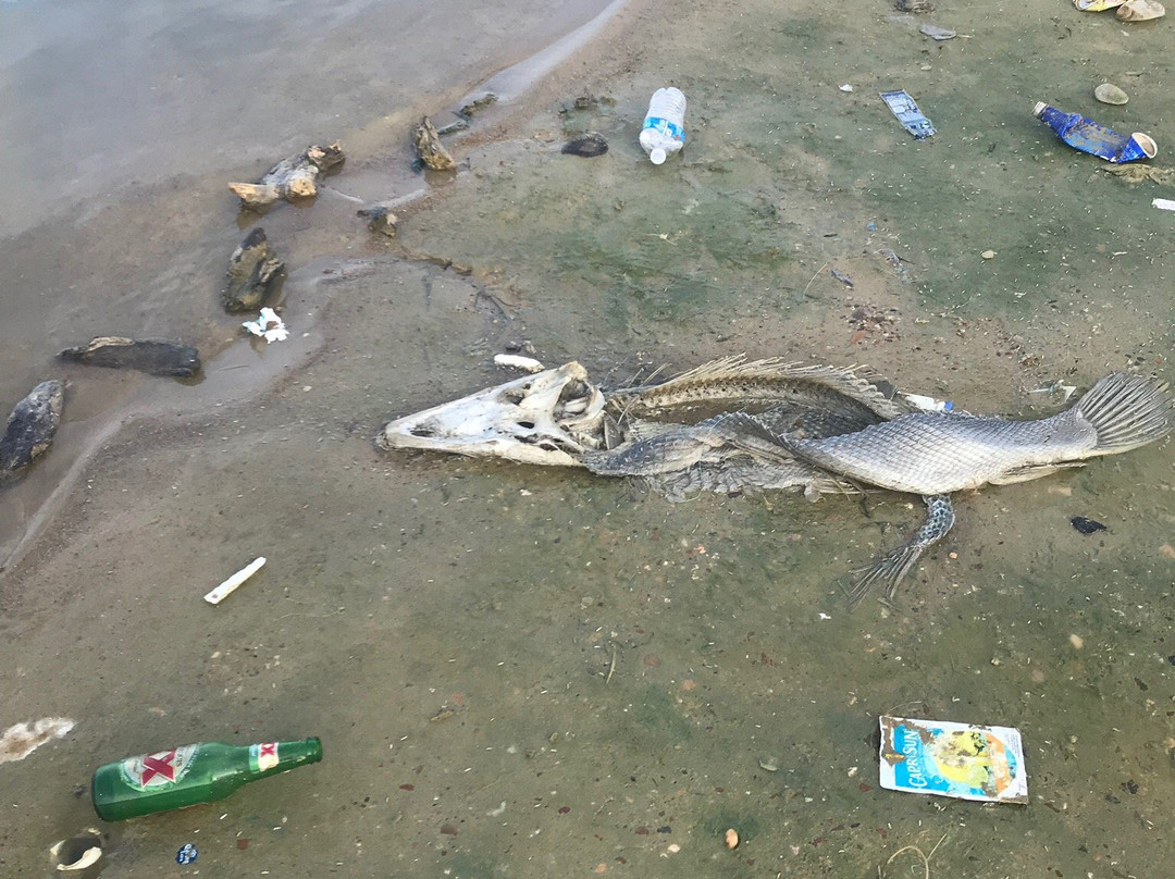 Lake Livingston Dam-利文斯顿必去景点