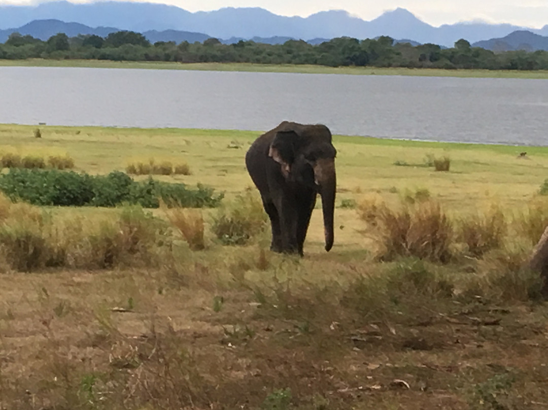 湖泊公园酒店主图