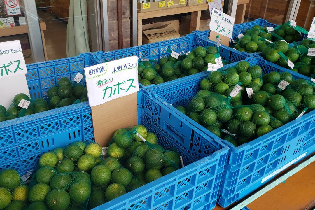 Michi-no-Eki Kunimi-国东市必去景点