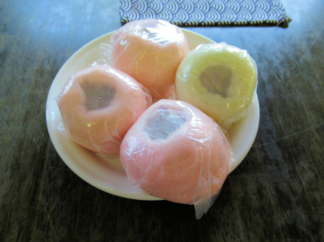 Iidajo-饭田市必去景点