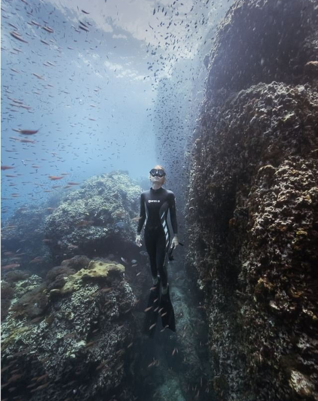 Sail Rock (Dive Site)-涛岛必去景点