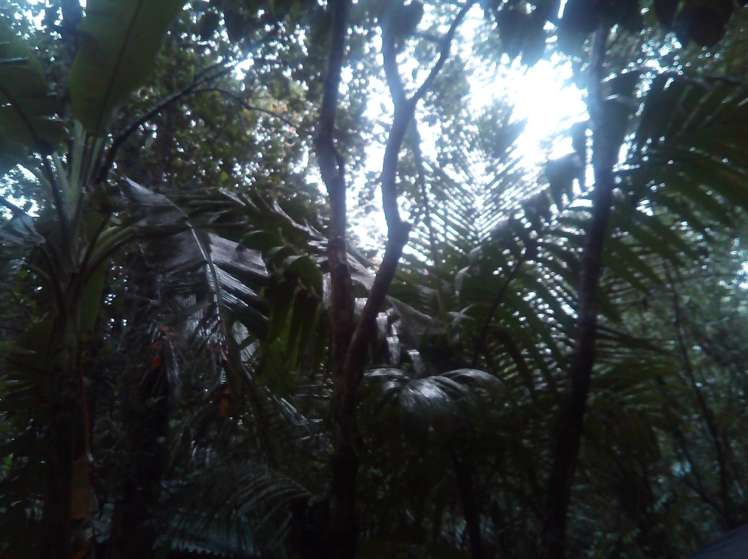 New Ranweli Spice Garden景点图片