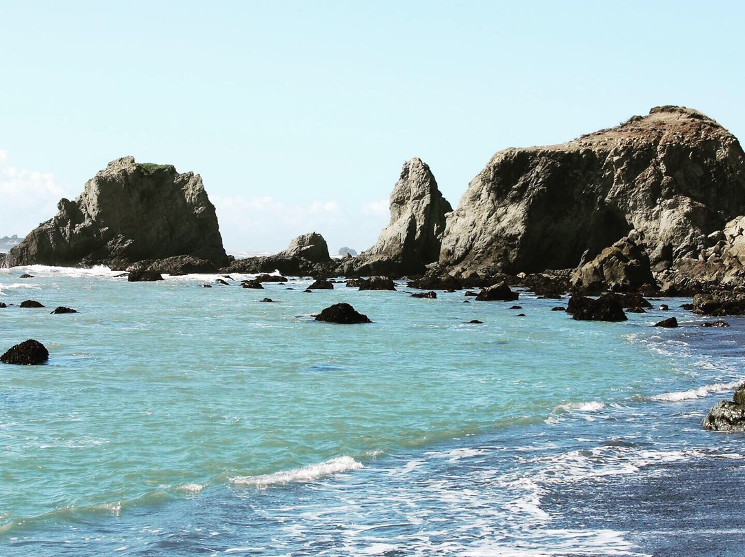 Lost Coast Scenic Drive景点图片