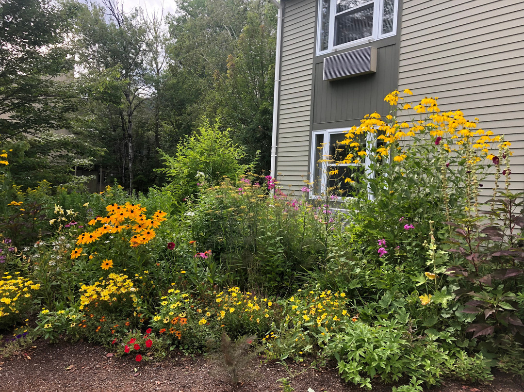 Silver Fox Inn主图