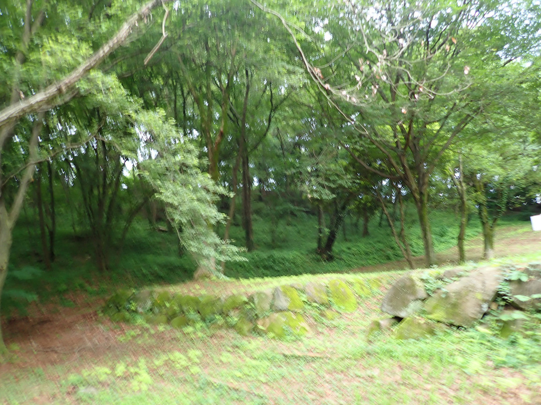 Shiroyama Park-稻城市必去景点