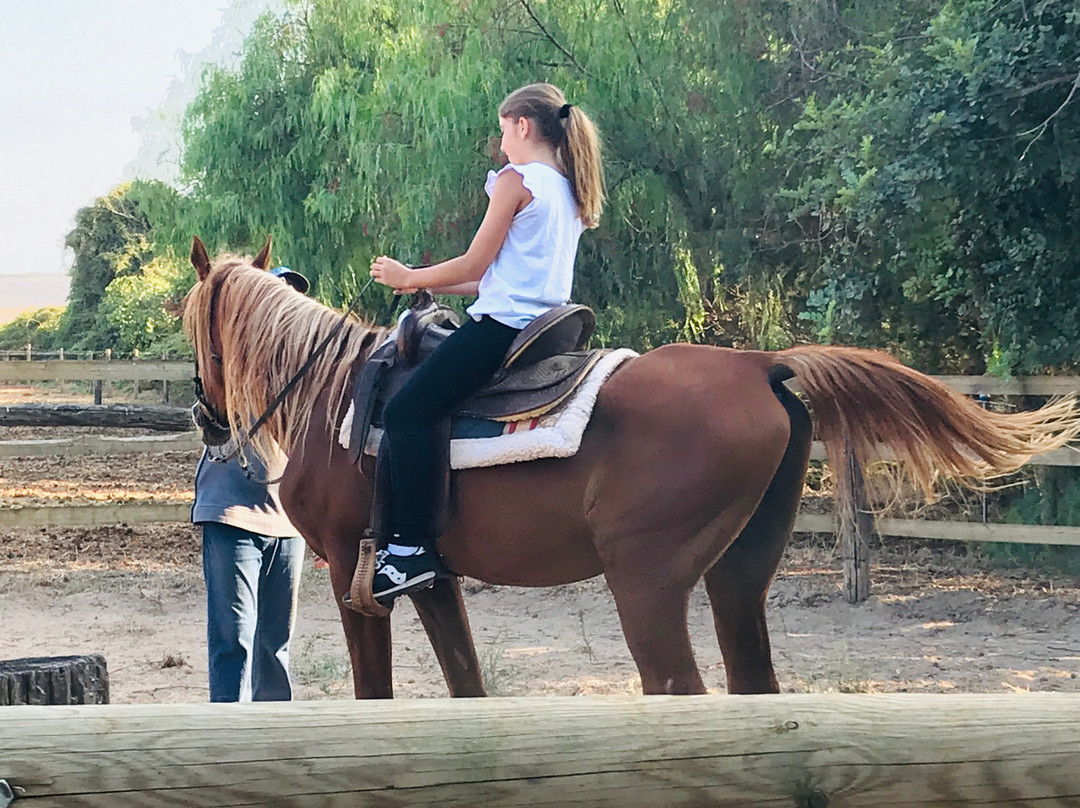 Casato Calabrese主图