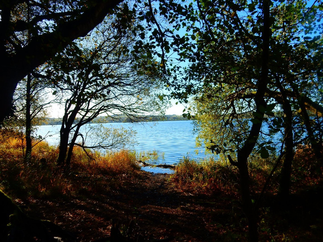 Deerpark Forest Walk-Virginia必去景点