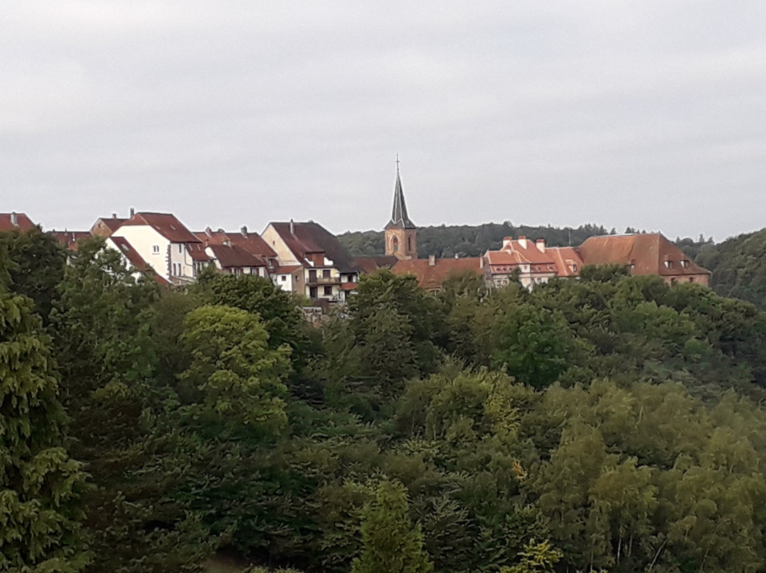 Hotel des Vosges主图