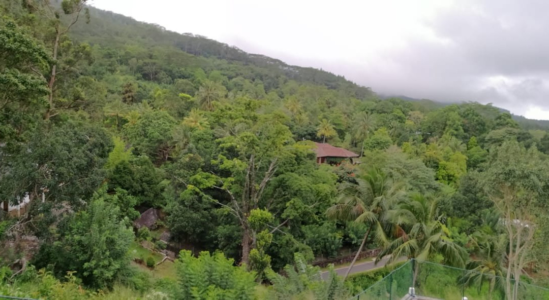 The Grand Hills主图