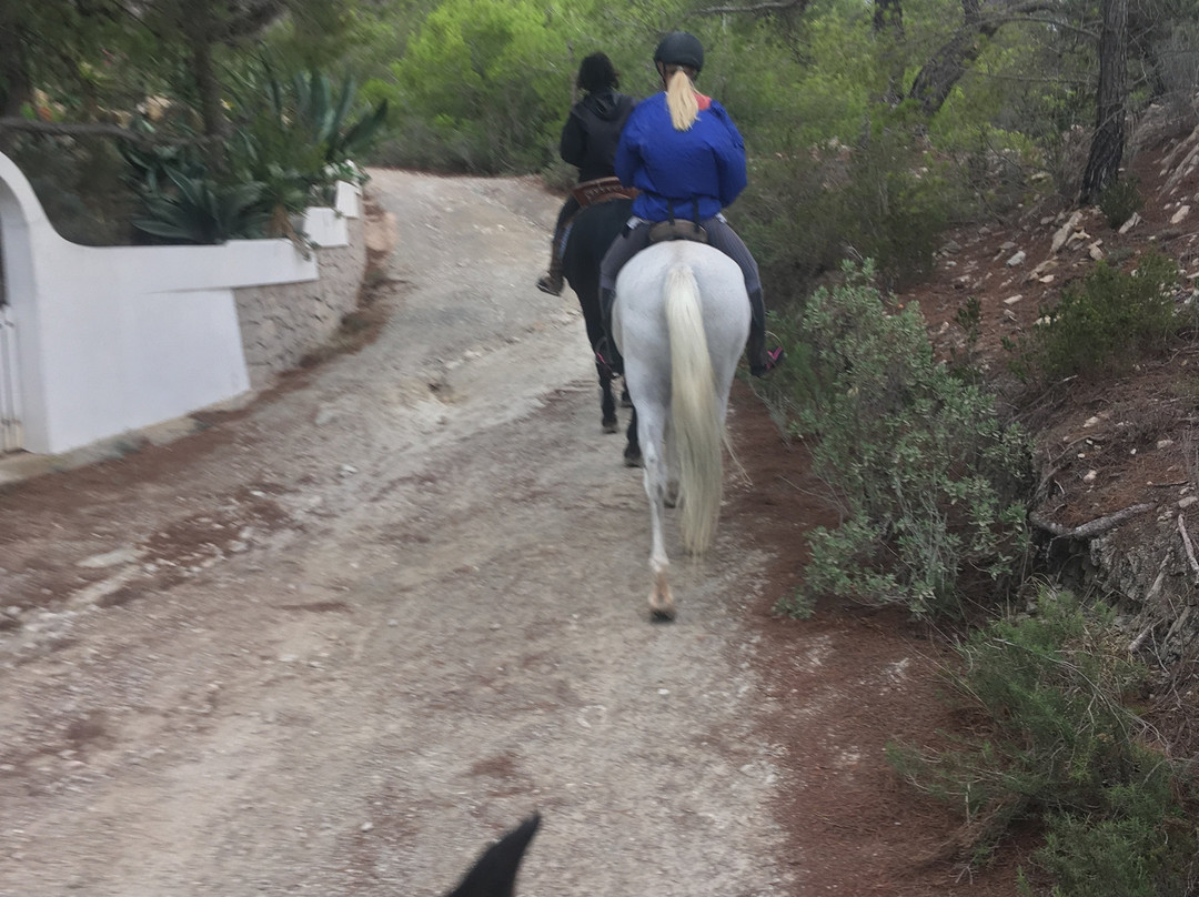 North Ride Ibiza景点图片