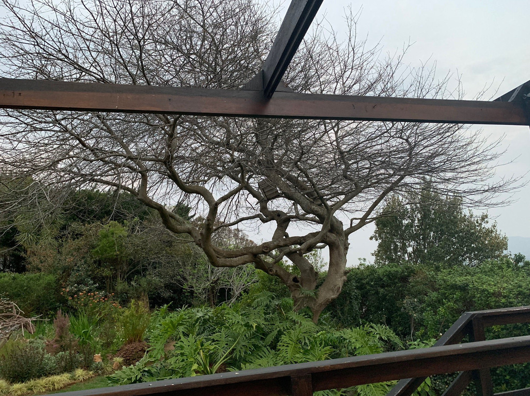 Klein Bosheuwel Guest House主图