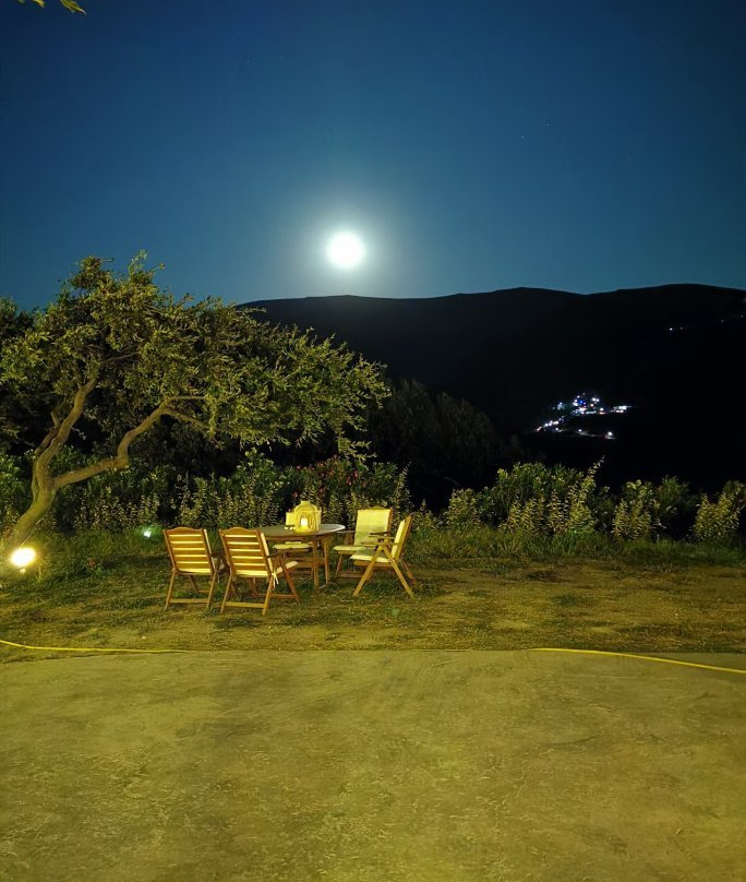 Armonia Resort主图