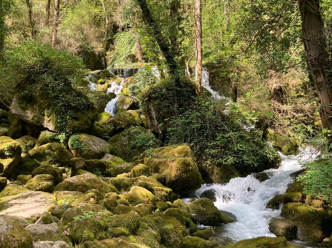 Source Du Pêcher