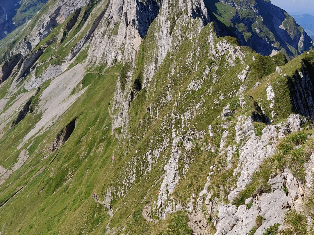 Berggasthaus Schaefler主图