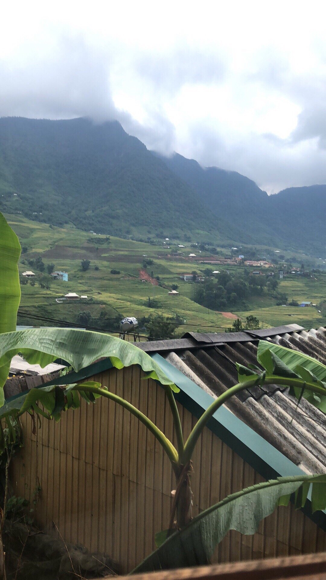 布法罗幸运德西山林小屋-官方