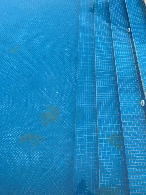 Palo Santo Galapagos Hotel主图