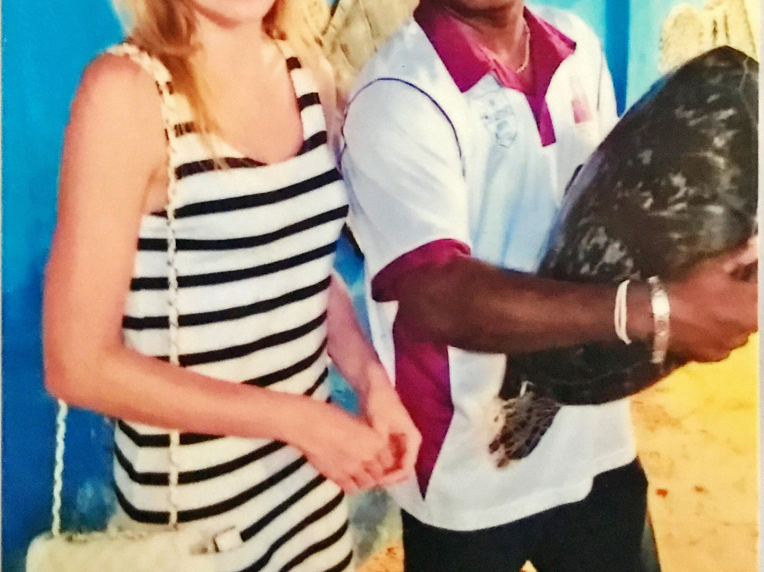 Kosgoda Turtle Care-科斯戈德必去景点